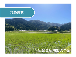 稲作農家